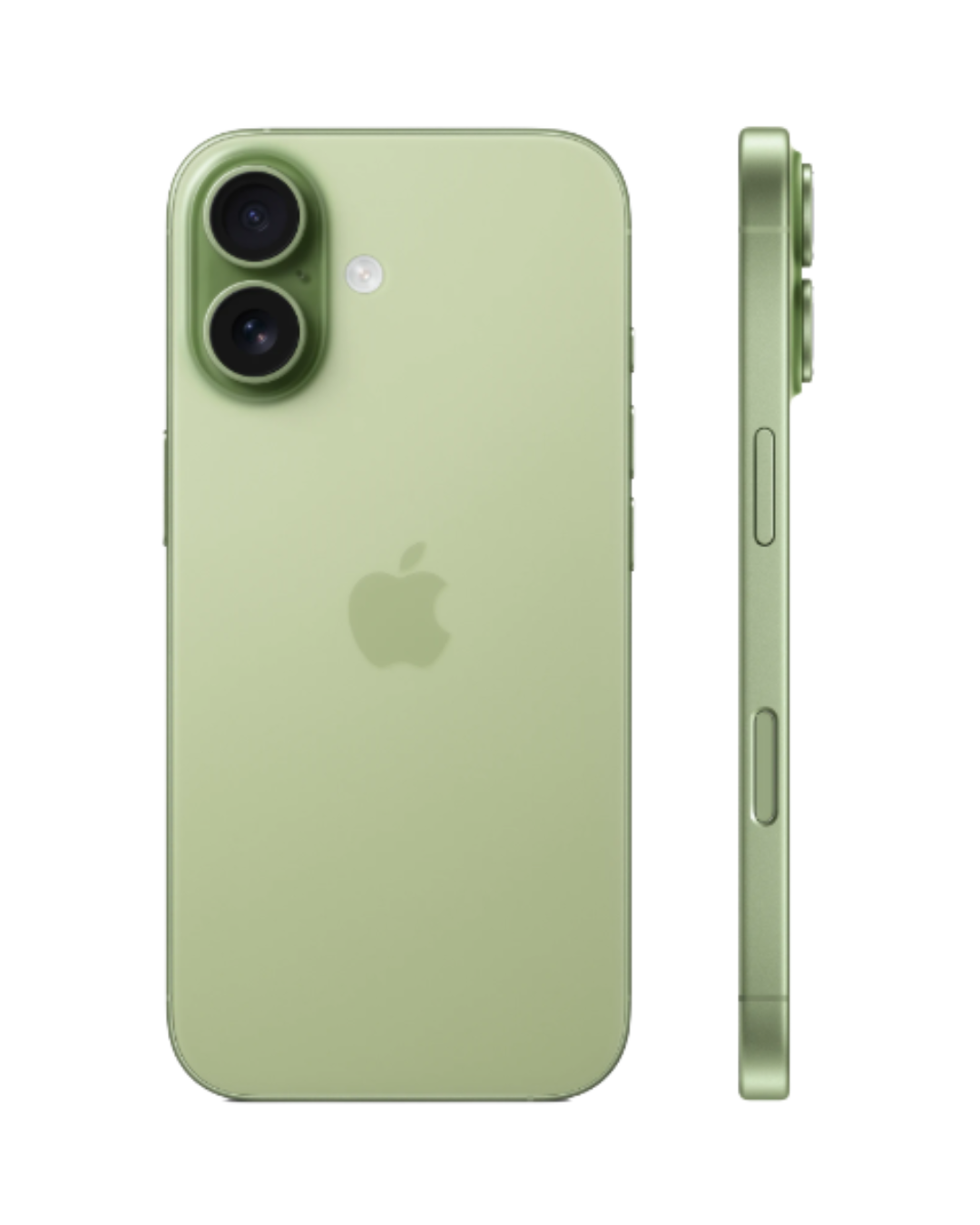 Apple iPhone 17 256GB Sage 5G Dual eSIM - UAE Version (TDRA) Apple iPhone 17 256GB Sage 5G Dual eSIM - UAE Version (TDRA)